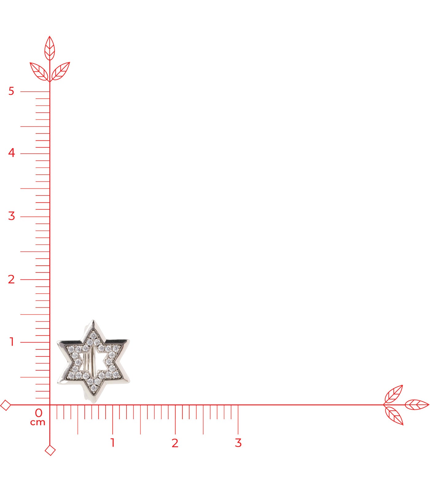 Star Earrings