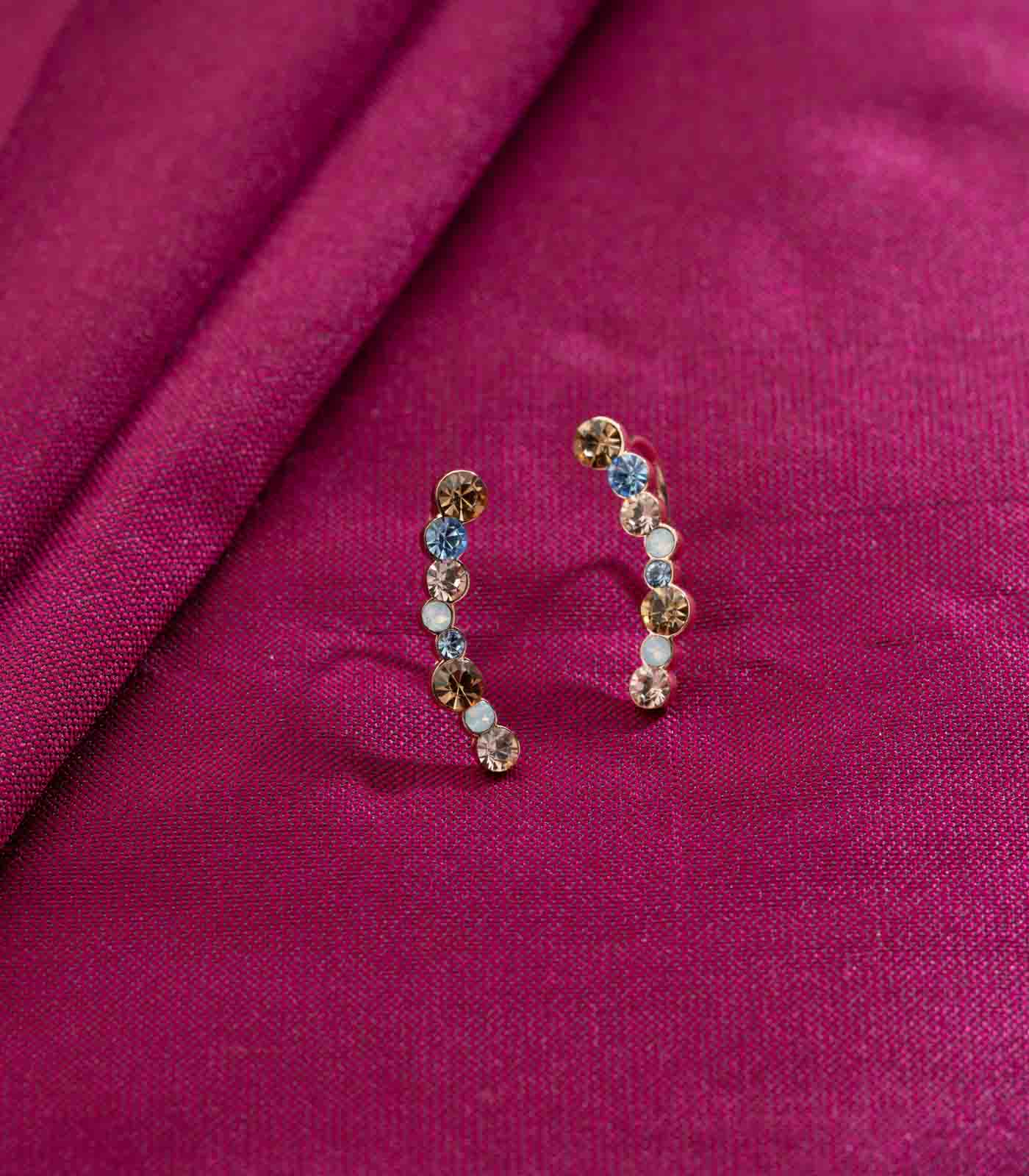 Multicoloured Earrings