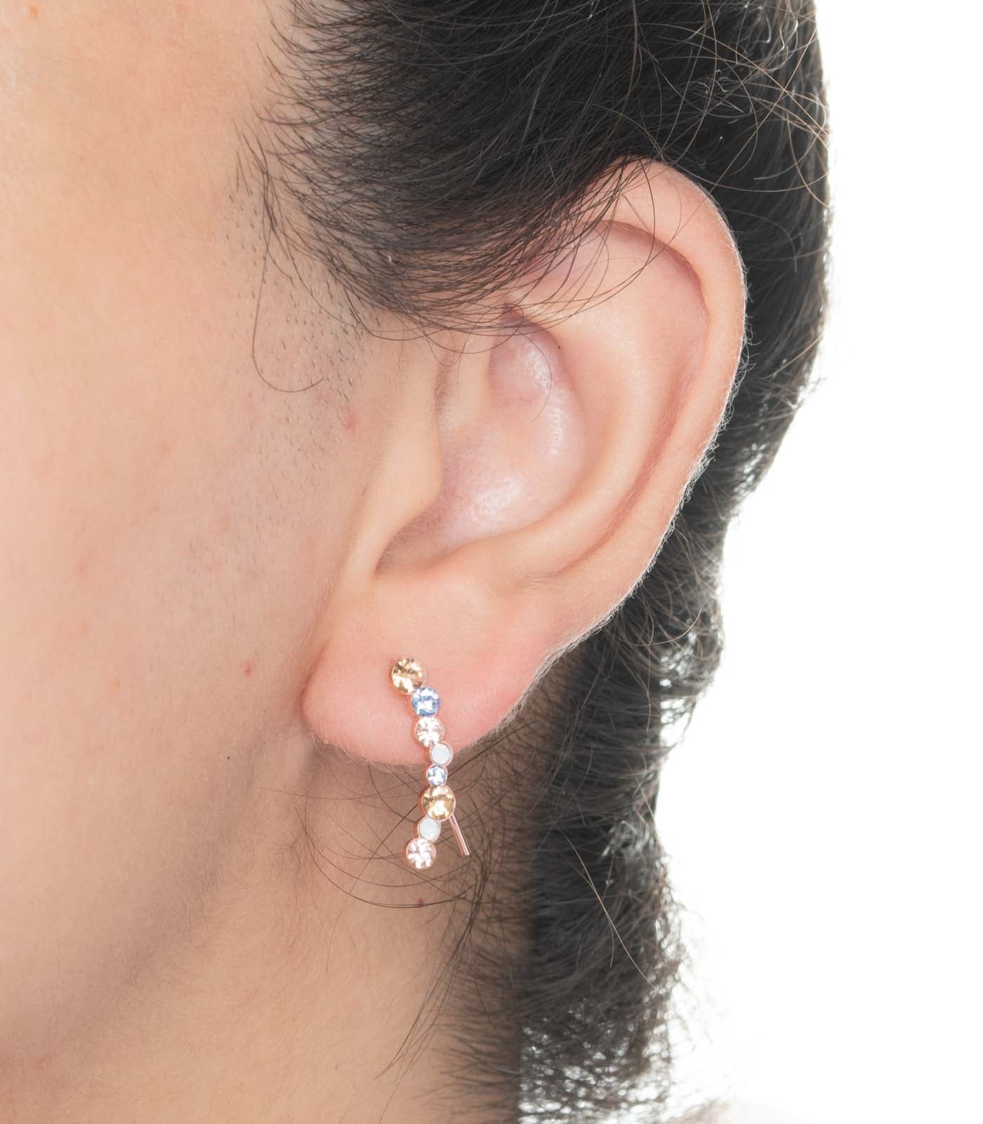 Multicoloured Earrings
