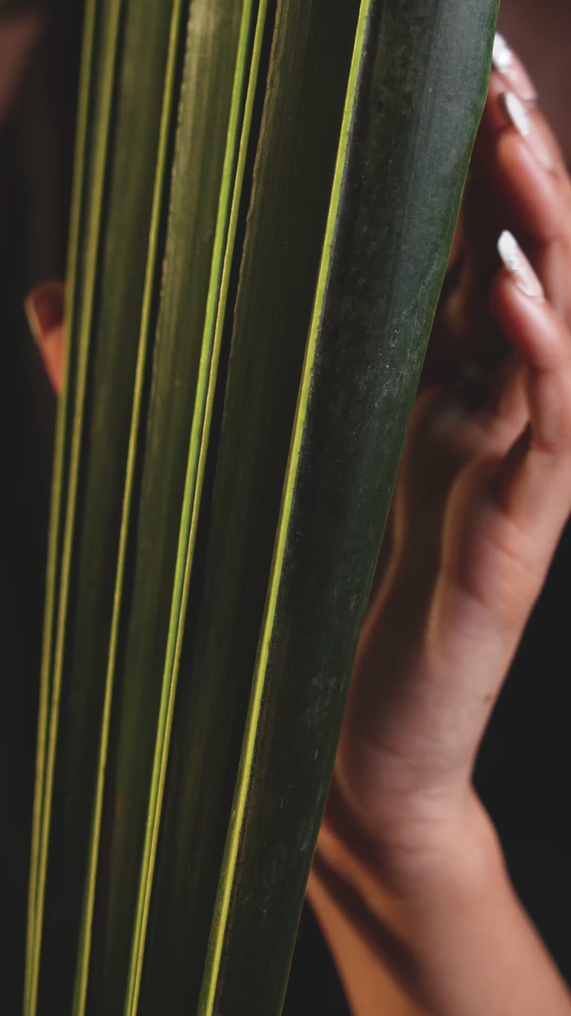 Load video: Kundan Pearl Floral Statement Ring