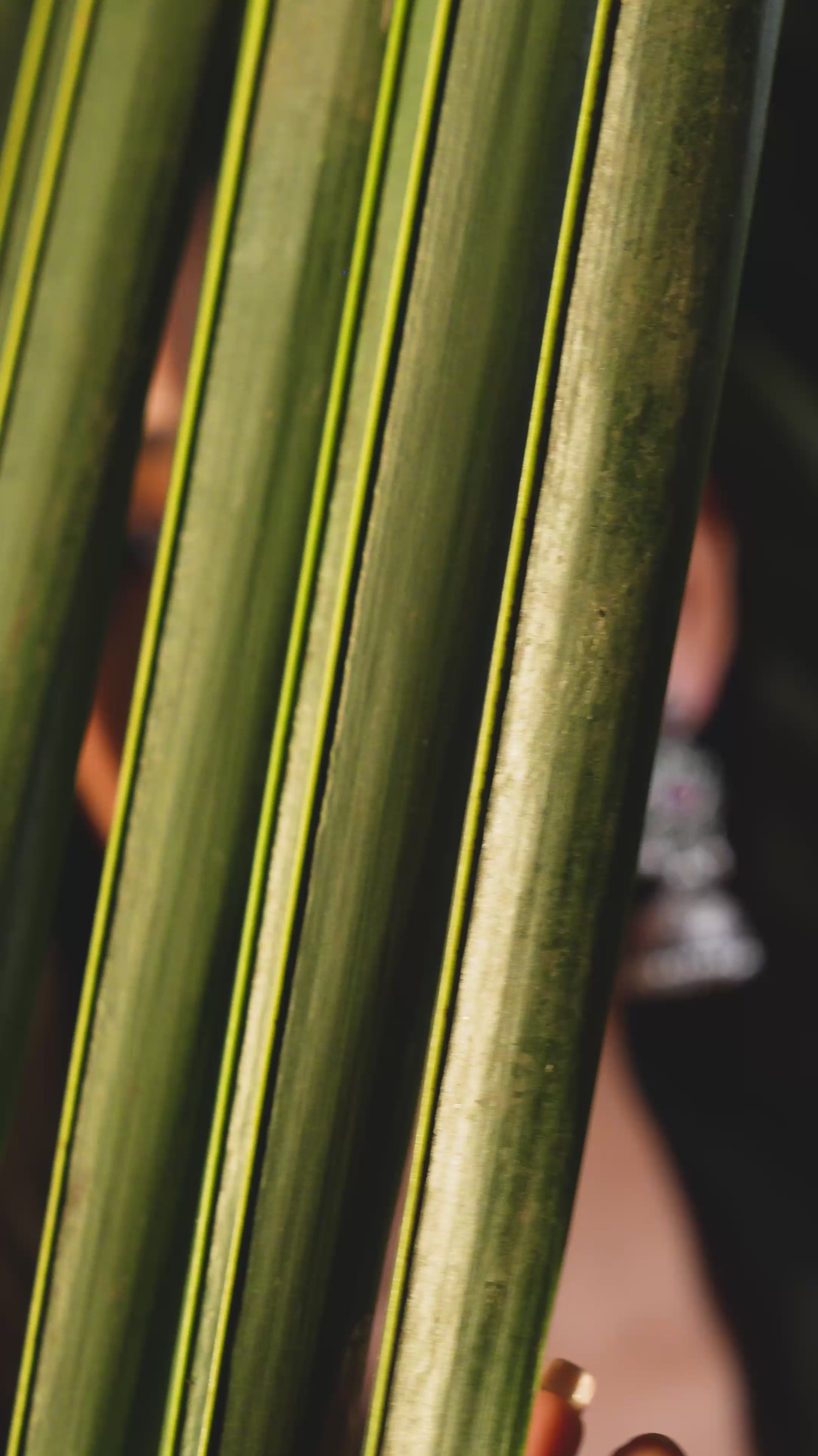 Load video: Noor-e-Morni Jhumka Earrings