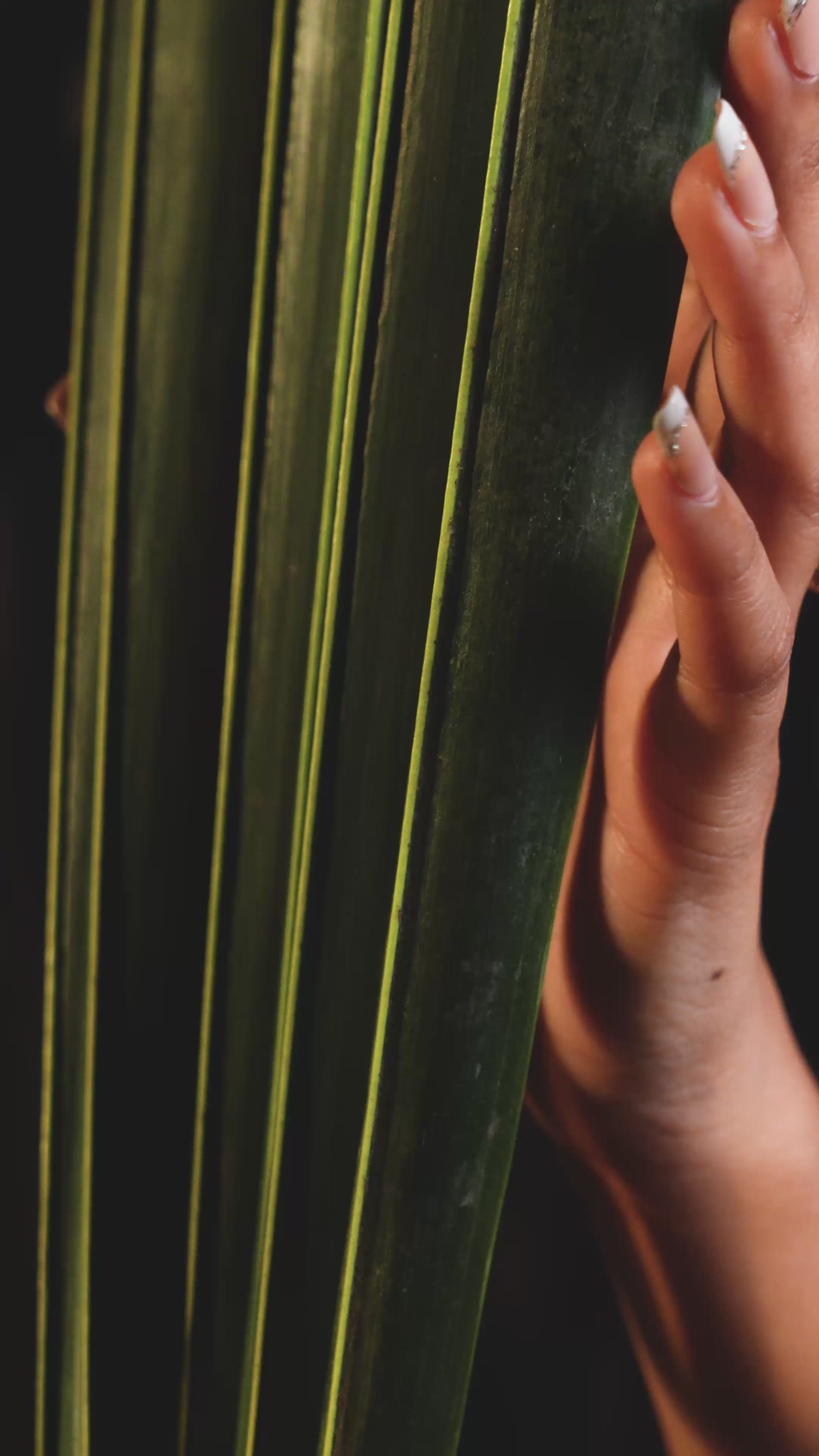 Load video: Prakriti Kundan Ring