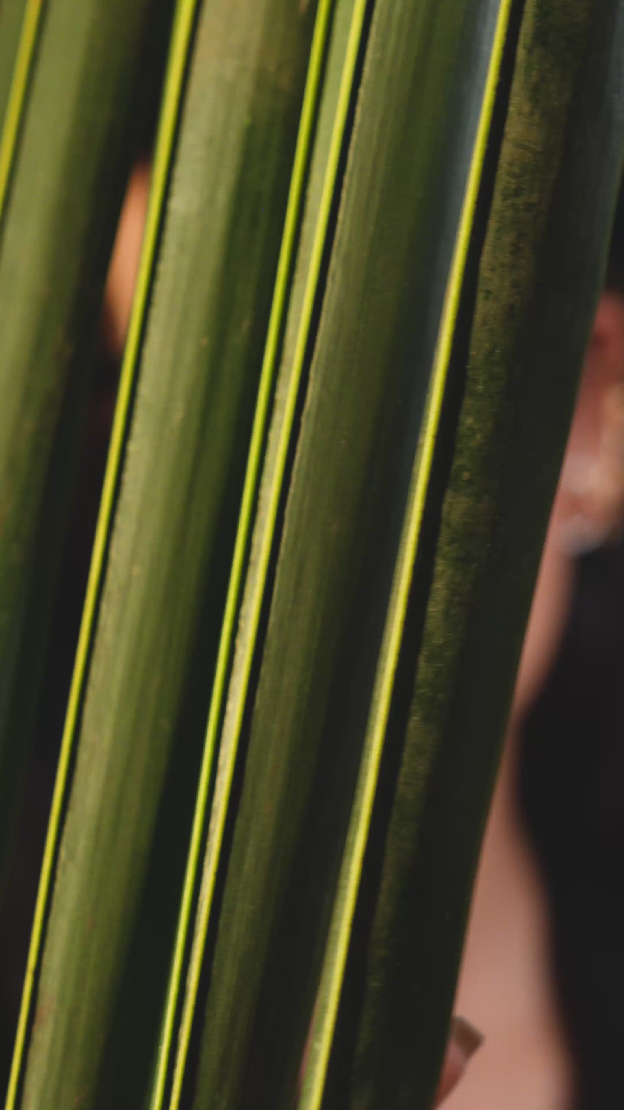 Load video: Gulnaar Pearl Ear Climbers