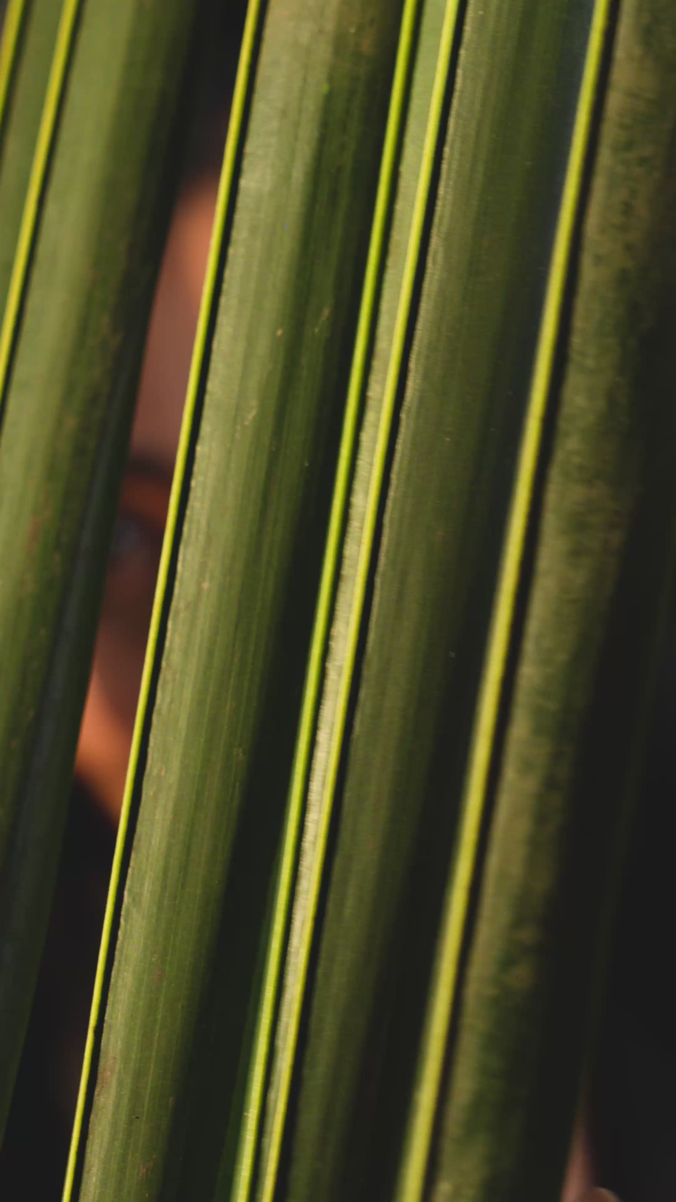 Load video: Pushpa Floral Stud Earrings