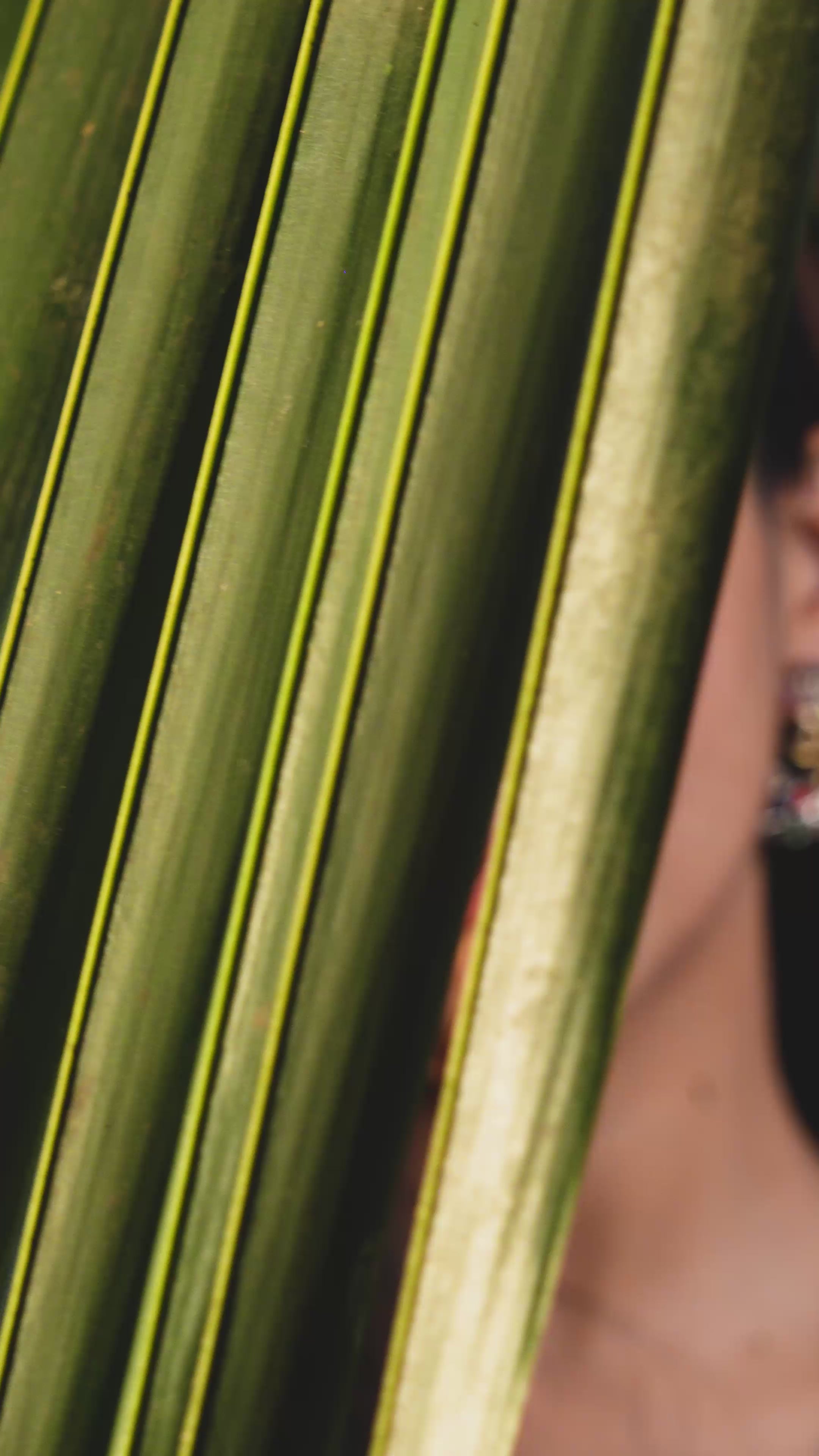 Load video: Gulbahaar Earrings