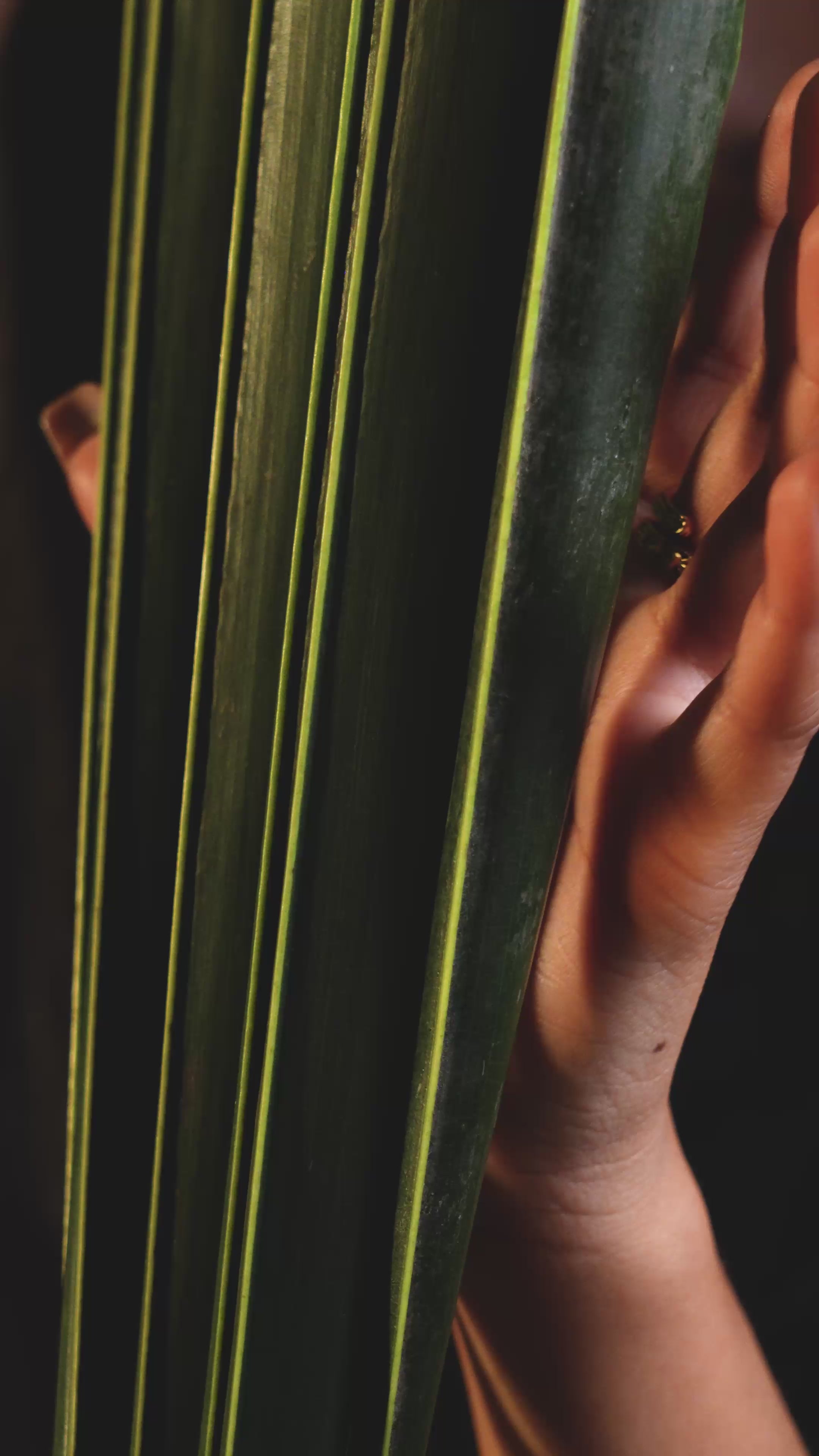 Load video: Noor Kamal Statement Ring